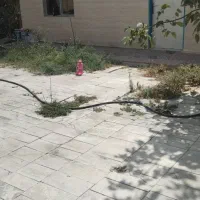 سوله 600 متری بهداشتی فروشی|فروش دفتر صنعتی، کشاورزی، تجاری|چهارباغ, |دیوار