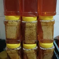 عسل پادنا  کیلویی ۷۰۰