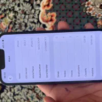 Iphone13 normal|موبایل|مشهد, شیرودی|دیوار