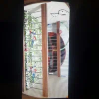 اسکوتر چادر وغیره|دوچرخه، اسکیت، اسکوتر|فردیس, شهرک ۱۱۰|دیوار