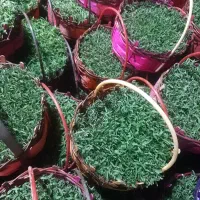 سبزه قره ماش