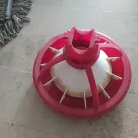 دانخوری بشقابی|لوازم جانبی حیوانات|هرسین, |دیوار