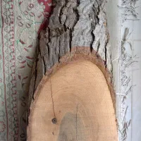 تخته چوب ۵۰ سانتی|مصالح و تجهیزات ساختمان|قم, سعادتی|دیوار