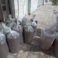 دو تن کشمش فخری