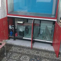 آکواریوم آب شور وشیرین|لوازم جانبی حیوانات|فولادشهر, A2|دیوار