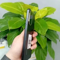 گوشی شیائومی مدل   Redmi A5|موبایل|تنکابن, |دیوار