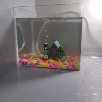 اکواریوم همراه باماهی