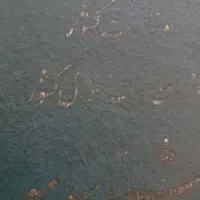 شناسنامه ی