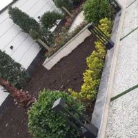 کلیه امور باغبانی تمام نقاط کرج حرفه ای و منصف|خدمات باغبانی و درختکاری|کرج, فاز ۲ مهرشهر|دیوار