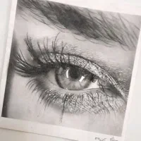 نقاشی همه مدل