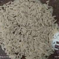 برنج طارم دم سیاه