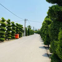 کاخ ویلا۵۷۰متری معاوضه باملک تهران/استخرسوناجکوزی|فروش خانه و ویلا|کلارآباد, |دیوار