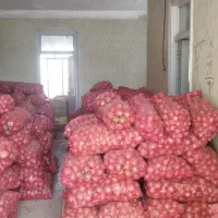 پیاز فلات|خدمات باغبانی و درختکاری|مانه, |دیوار