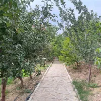 ویلا باغ 600متری با بنای 60متری با درختان مثمر|فروش خانه و ویلا|دماوند, دماوند|دیوار