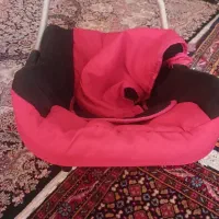 کریر بچه بسیار سالم وبدون عیب