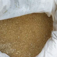 بذر یونجه|گل و گیاه طبیعی|فاروج, |دیوار