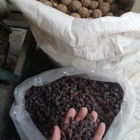 کشمش آبگیری خوراکی