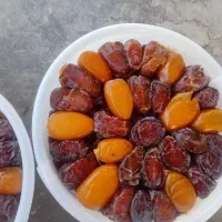 رطب سطل ۲ کیلویی پرسی بار خشتی