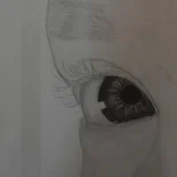 سیاه قلم|تابلو، نقاشی، عکس|مشهد, حرم مطهر رضوی|دیوار