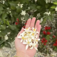 وام خونگی|خدمات مالی، حسابداری، بیمه|ساوه, |دیوار