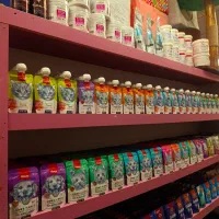 ونپی فاینبی وینستون دریمز تید بیت