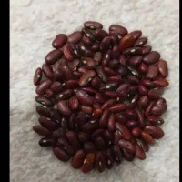 لوبیا و عدس کیلو ۱۲۵|خوردنی و آشامیدنی|دره شهر, |دیوار