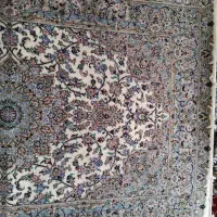 فرش دستباف بافت نو یک تخته|فرش|کاشان, رسالت|دیوار