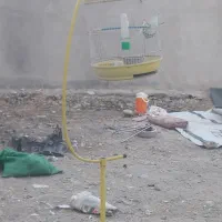 قفس فروش