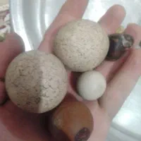 سنگ آسیاب و سنگ دفینه