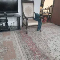 فرش  ماشینی ۲ عدد ۱۲ متری