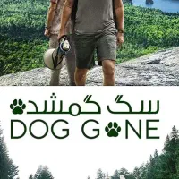 سگ پیدا شده