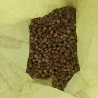 فندوق ارگانیک|خوردنی و آشامیدنی|مشهد, فتح المبین|دیوار