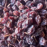 مویزبش دشمن زیاری|عمده‌فروشی|شیراز, دارالرحمه|دیوار