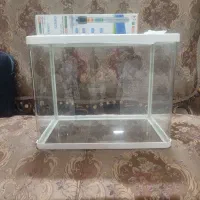 اکواریوم یک عدد بخاری