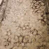 فرش گل برجسته فرش مشهد9متری