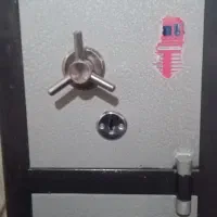 گاو صندوق سالم