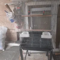 قفس|لوازم جانبی حیوانات|شیراز, پشم شیشه|دیوار