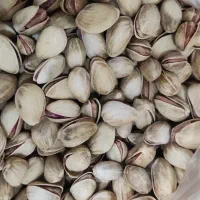 پسته امساله خندان دامغان