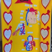 پذیرفتن سفارش کاردستی و نقاشی|صنایع دستی و سایر لوازم تزئینی|پرند, فاز ۴|دیوار