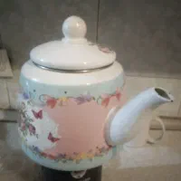 کتری آب‌جوش وظرف غذا