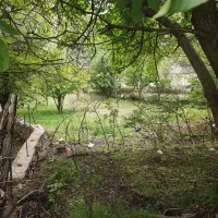 زمین-باغ