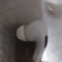 گمشده|اشیا|شوش, |دیوار