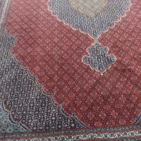 قالی ۱۲متری