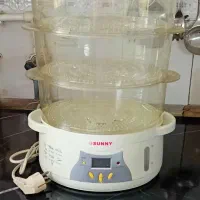 بخار پز