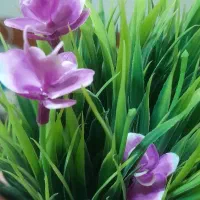 نگهبانی میدم شیفت شب