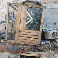 قفس|لوازم جانبی حیوانات|زاهدان, |دیوار