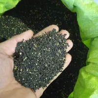 بذر پیاز زرد طلای فلات و قرمز