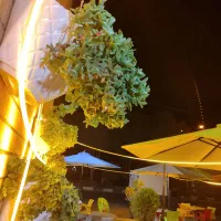 واگذاری جگرکی