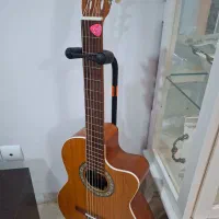گیتار پارسی M5 دارای سیم داداریو