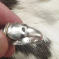 انگشتر شیروخورشید1346|کلکسیون اشیاء عتیقه|همدان, |دیوار